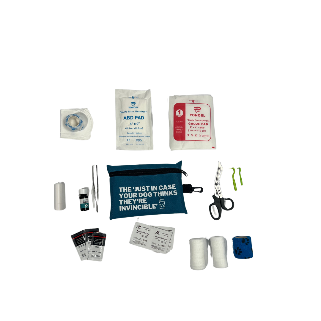 Travel-Ready First Aid Kit