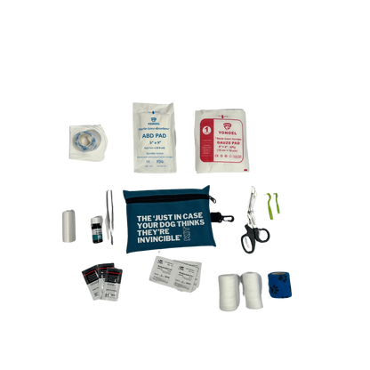 Travel-Ready First Aid Kit